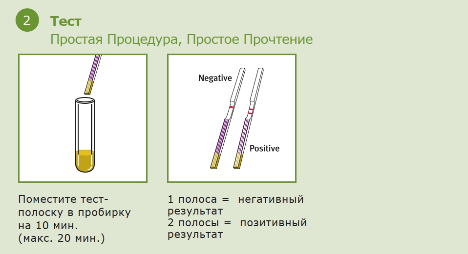 Wednesday test. Экспресс тест на сальмонеллез. Тест полоска на сальмонеллез. Сальмонелла в пробирке. Коагулазный тест на какой среде проводится.