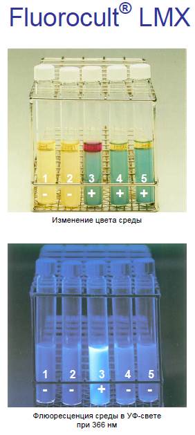 Контрастное изменение цвета среды