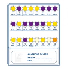 anaerobe-system-bottone-liofilchem29