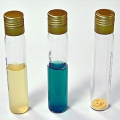 sistema-dlya-detektsii-koliformnyh-bakteriy-v-vode-1